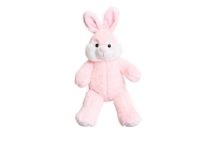 2527-Pink-Rabbit-300x200-1
