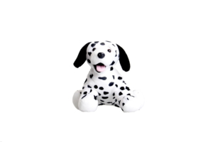 2534_Dalmatian-300x200-1